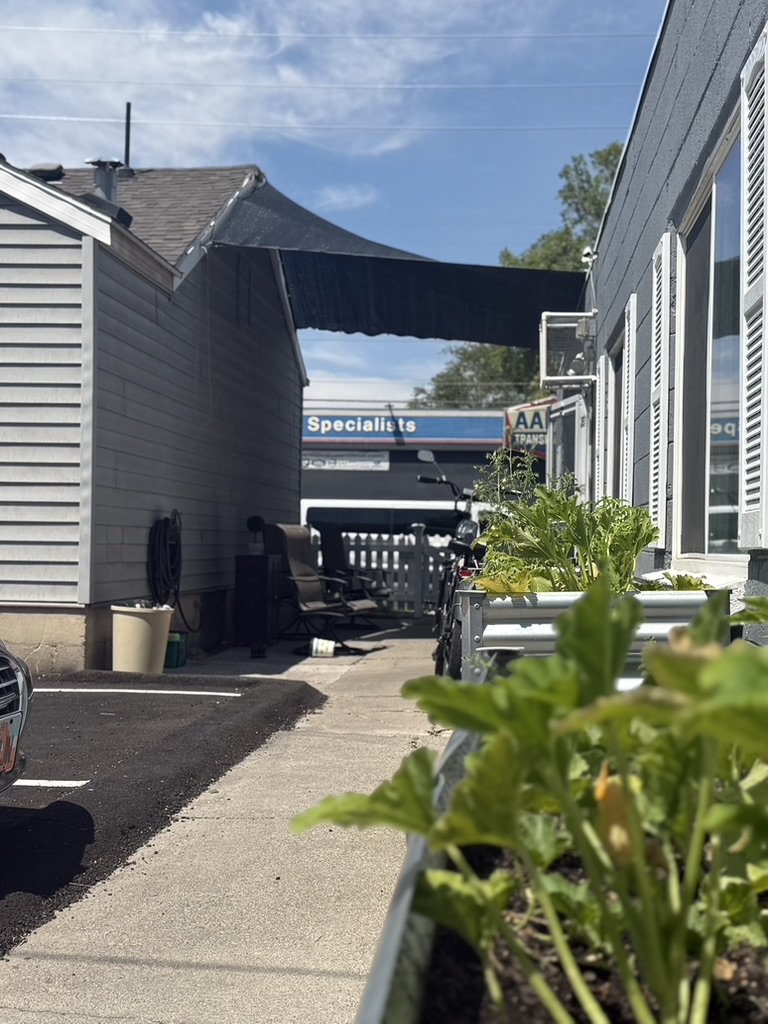 Walkway with a raised garden bed between House 2 and House 3
